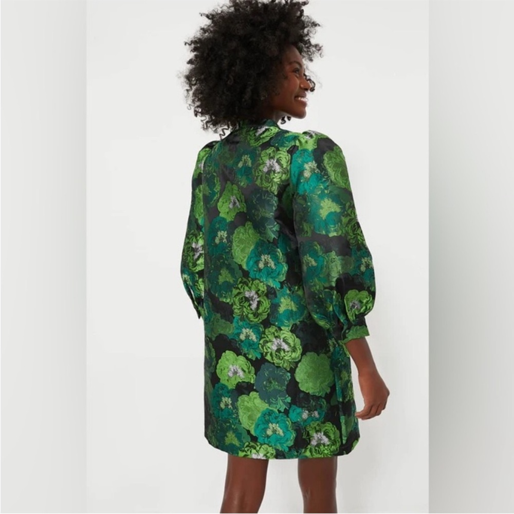 Tuckernuck POMANDER PLACE
Green Jacquard Samantha Dress - Picture 4 of 10